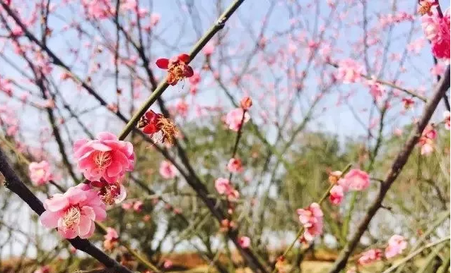 上饒市廣信區(qū)新區(qū)城南三校和新洲國際商業(yè)城周邊路段停車管理項目中標候選人公示